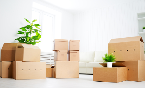 chattanooga pro movers