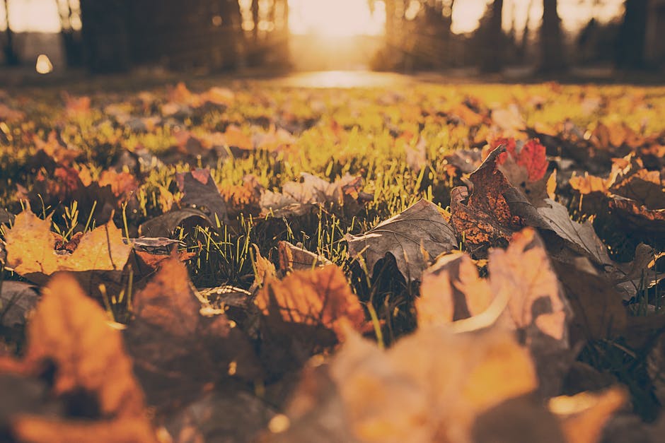 moving in the fall 
